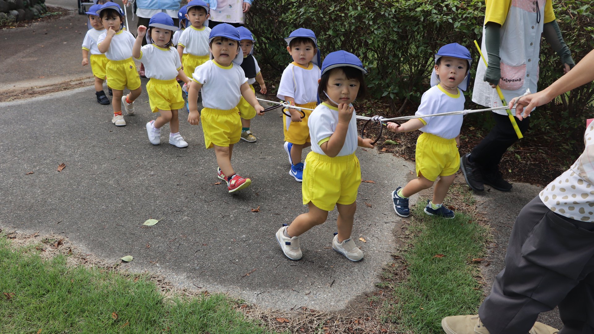 みんなでお散歩する子どもたち